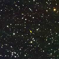 小惑星(10880)「Kaguya」